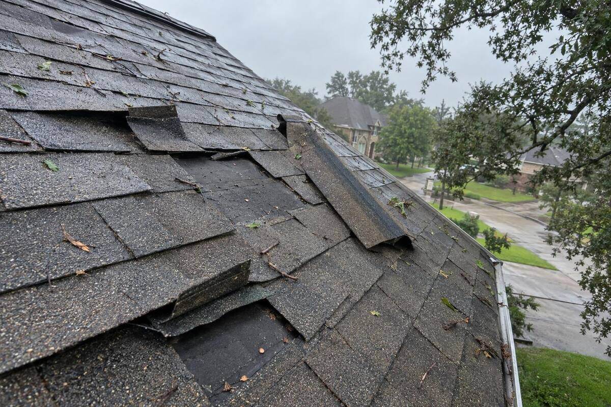 Shingle tabs creased and folded back along one roof slope after strong wind, with the underlying layer visible