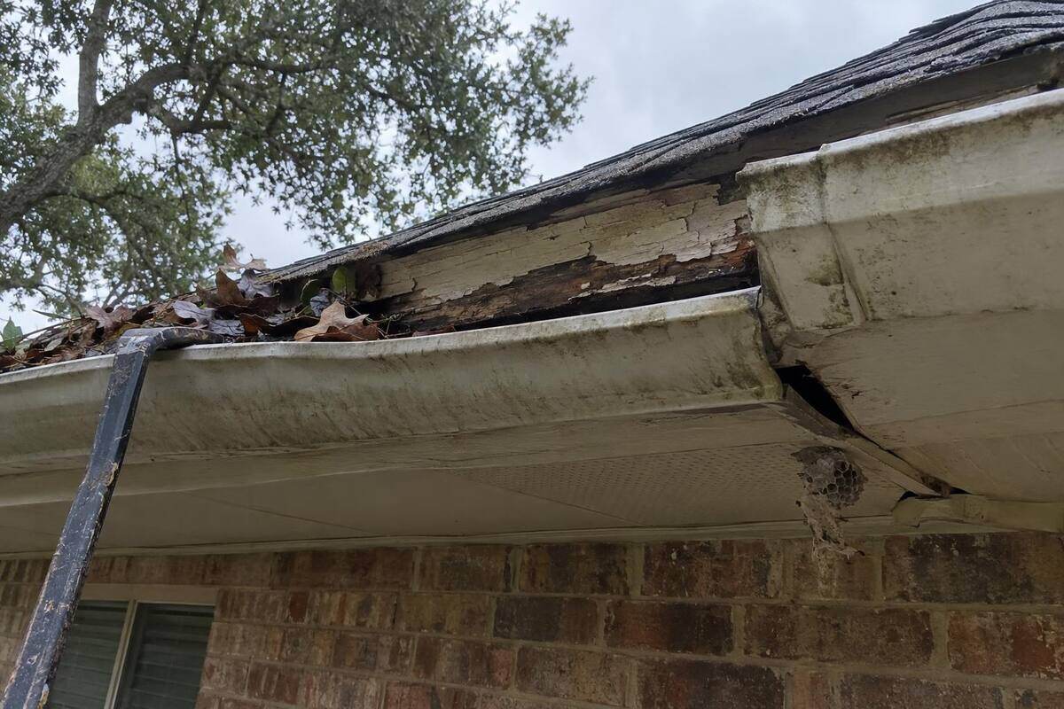 Rotted fascia board and a sagging soffit panel under a shingle roof edge, gutter pulled slightly away
