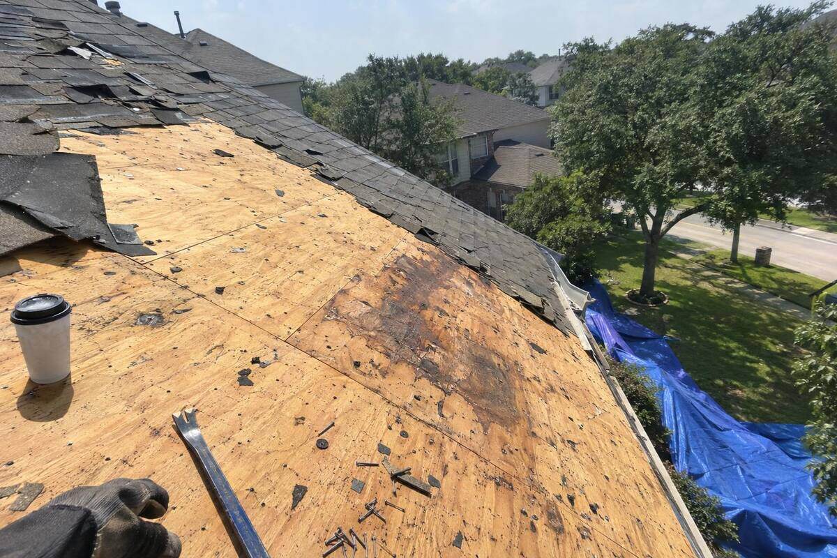 Old shingles stripped back to plywood decking on a two-story Pearland roof, a tarp over the flower beds and debris at the eave
